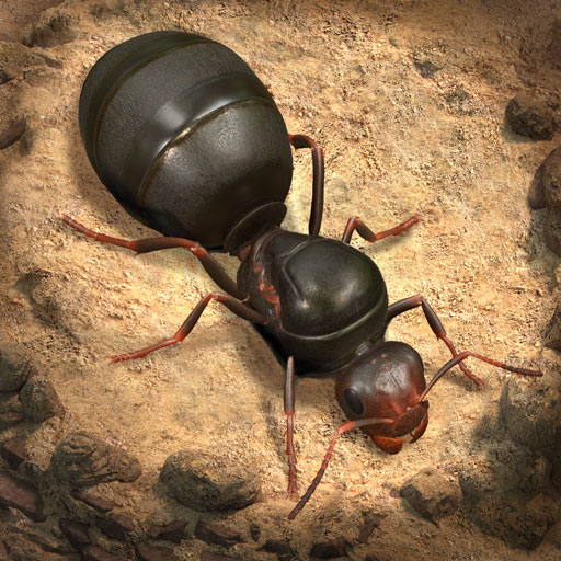 The Ants: Underground Kingdom 3.56.0 Apk Download