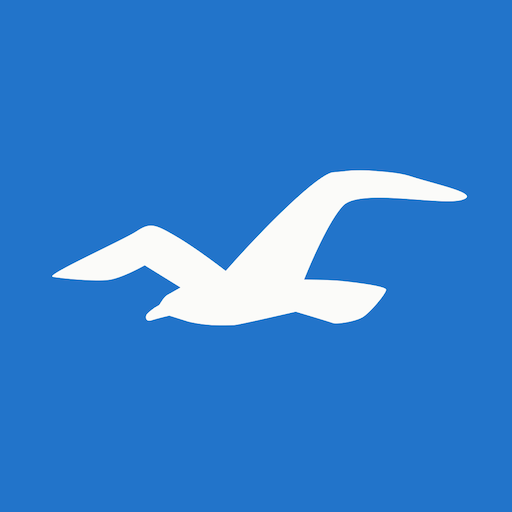 Hollister Co. 11.9.0 Apk Download