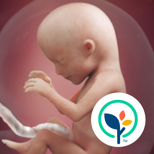 Pregnancy App & Baby Tracker 5.25.1 Apk Download